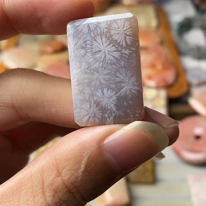 秋***雨硅化玉未镶嵌吊坠