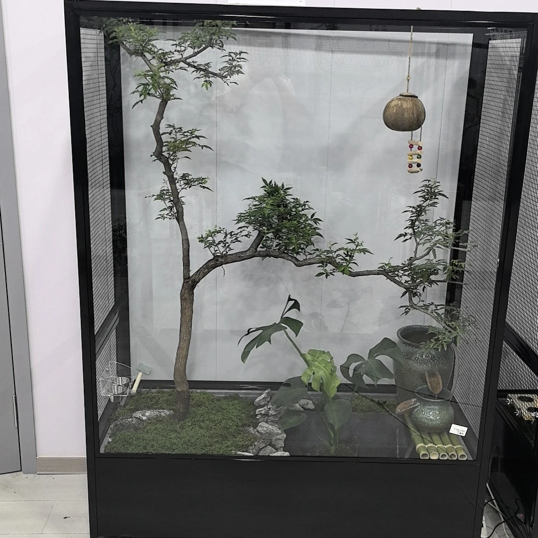 精品不锈钢生态鸟笼高山流水款大尺寸182*126*66