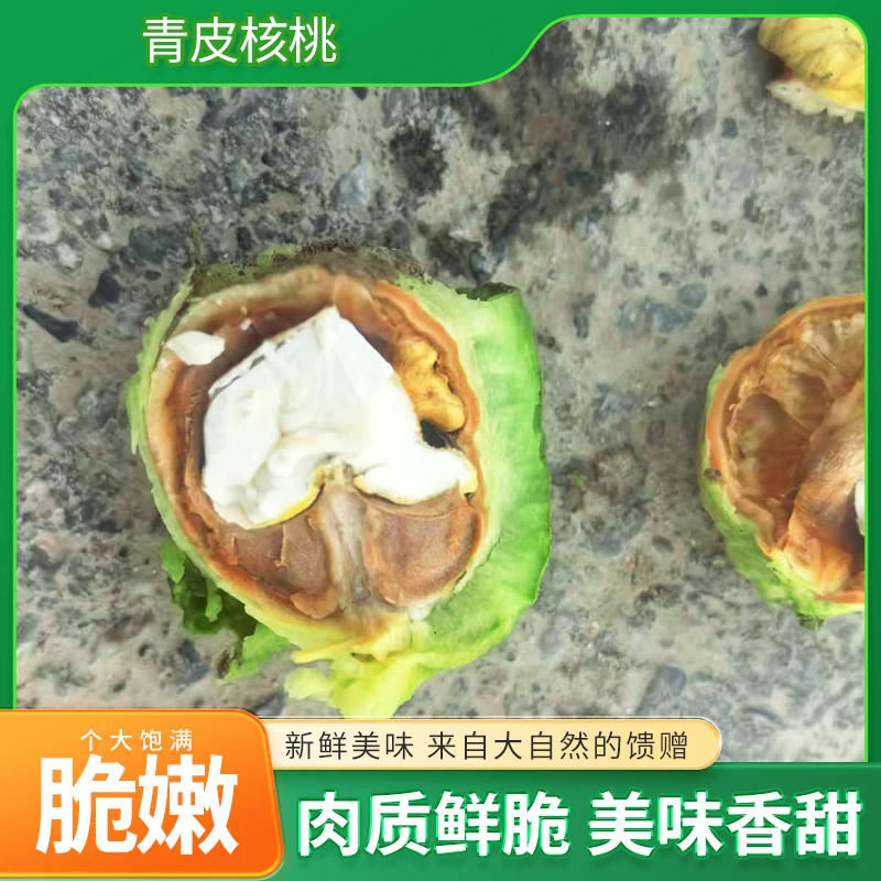 青皮新鲜湿核桃薄壳生态无漂白美味醇香脆嫩可生吃