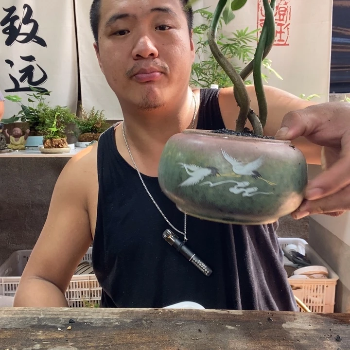 无花朵退款拉黑拉黑53