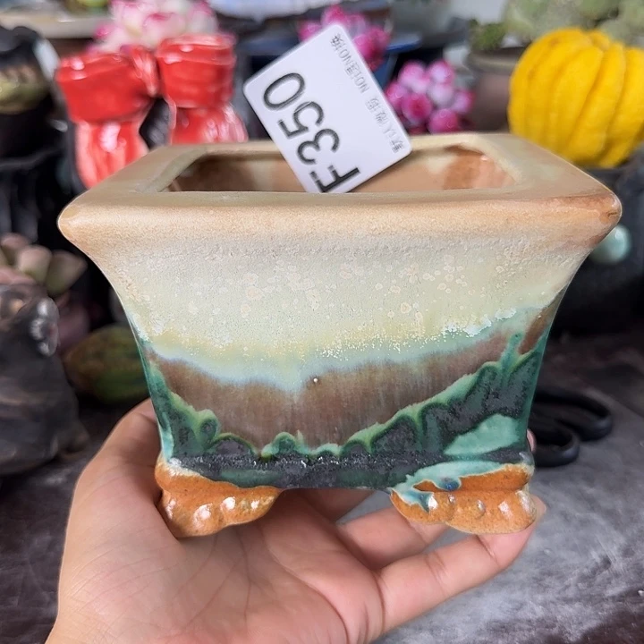重庆小燕子欢迎大家350