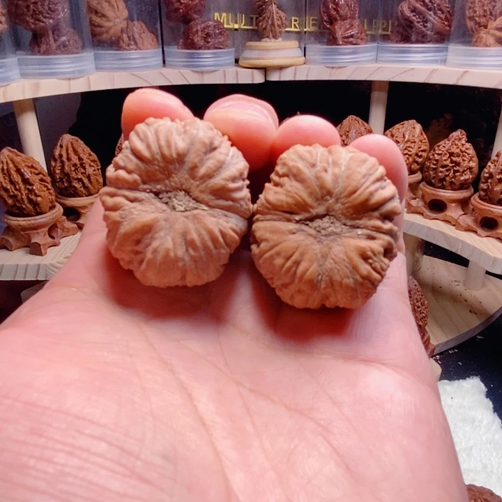 爱***5把件文玩核桃马蹄