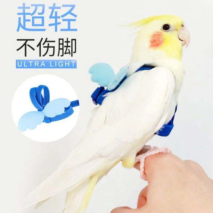 ++遛鸟牵引绳背带式鹦鹉放飞绳子不伤脚超轻防走失飞行外出溜鸟神