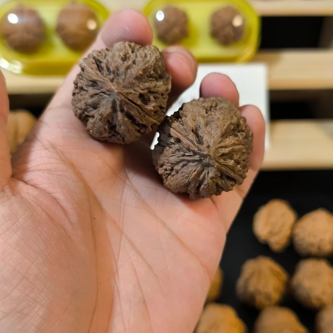 吊坠文玩核桃霸王龙秋子34，39