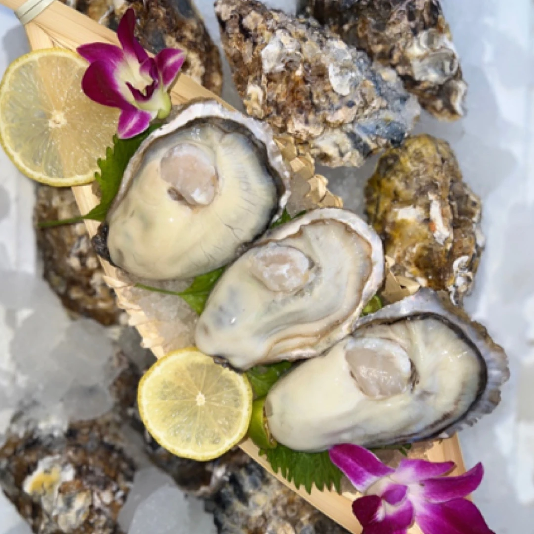 （精品）2-3两 鲜活乳山生蚝 10斤畅吃装 赠工具包