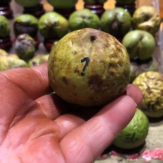 吊坠桃核核桃核桃