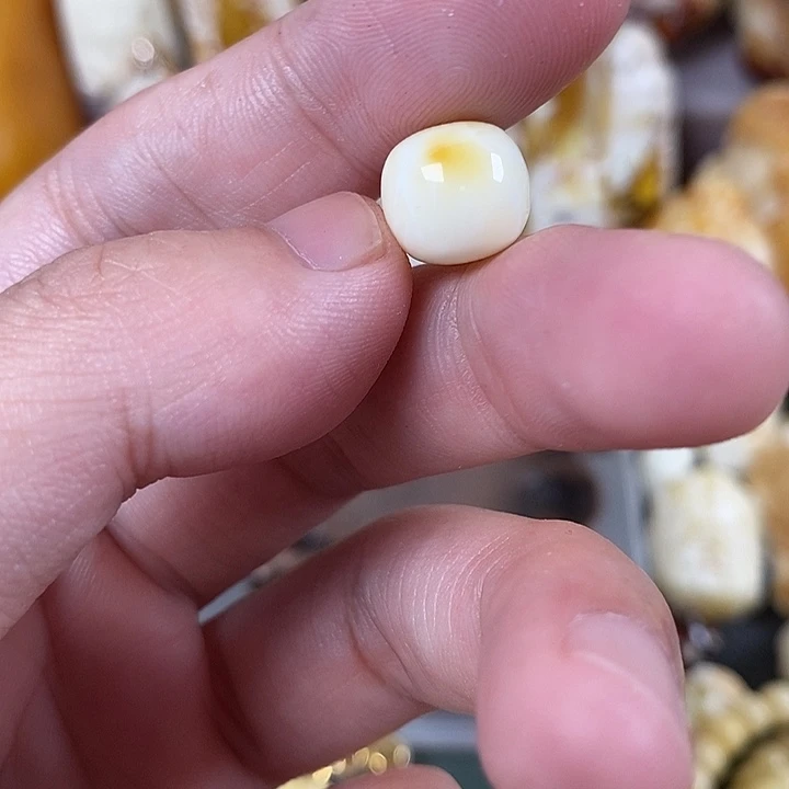 裸石琥珀未镶嵌我