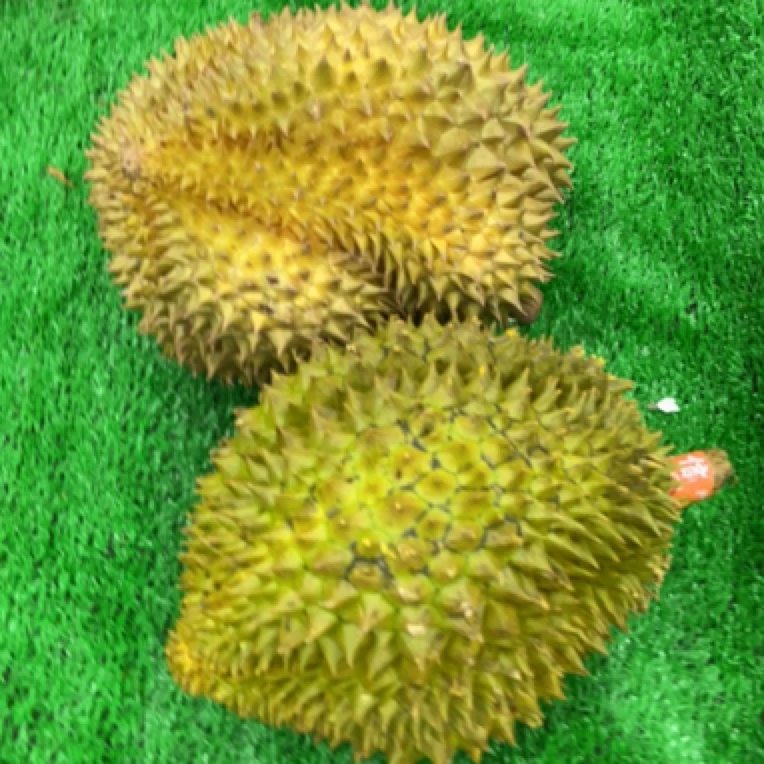 23.8一斤越南干扰新鲜榴莲核大肉厚（同城配送一小时到）3斤起榴莲同城配金枕越南