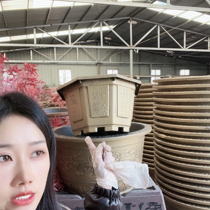 八角60花盆一个有孔