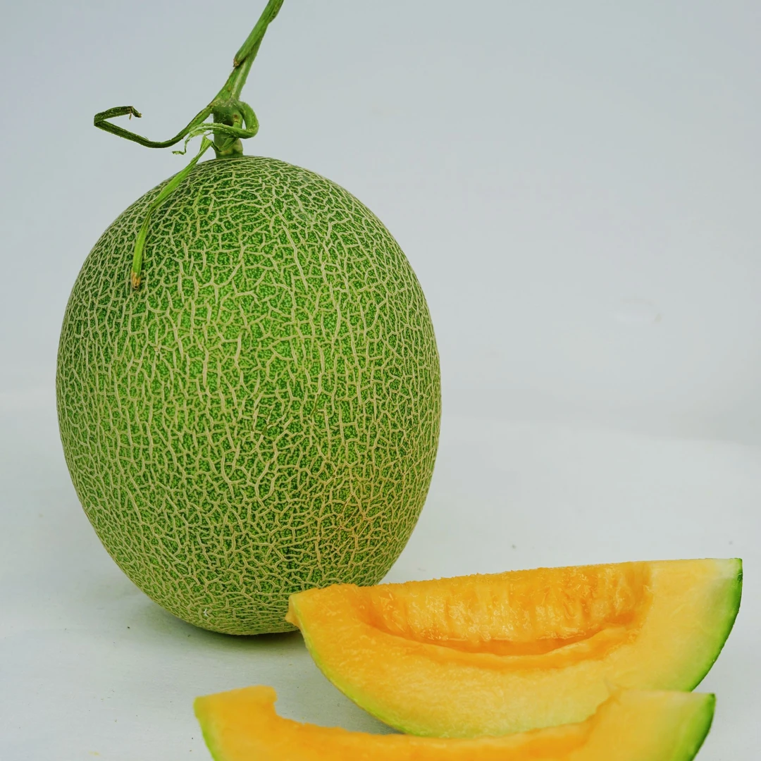 【顺丰快递】正宗新疆哈密瓜西州蜜脆甜多汁现采现发新疆直发
