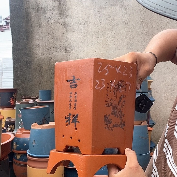 紫砂花盆盆栽植物观赏