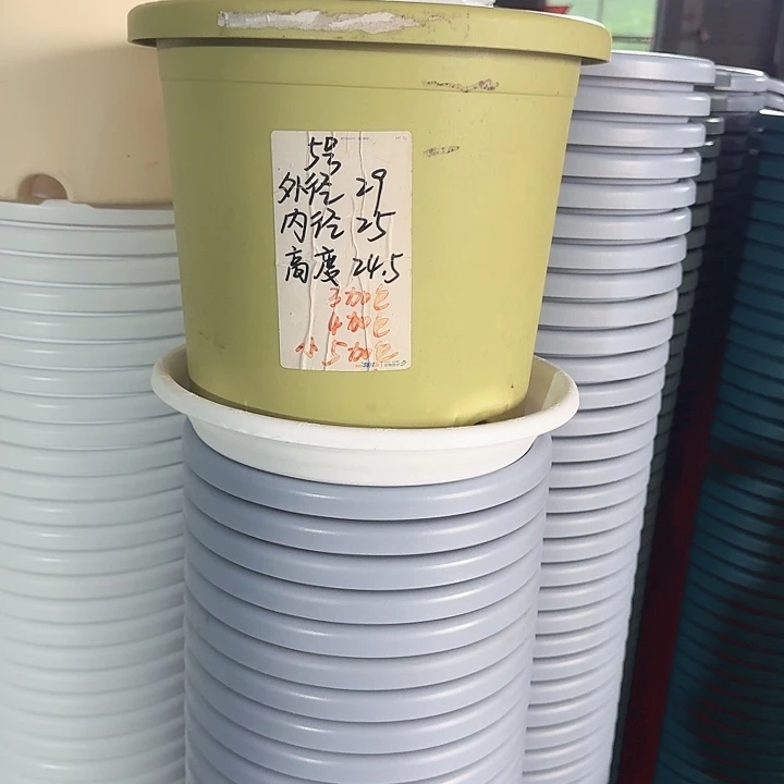 微瑕5#口径29无托果绿10个