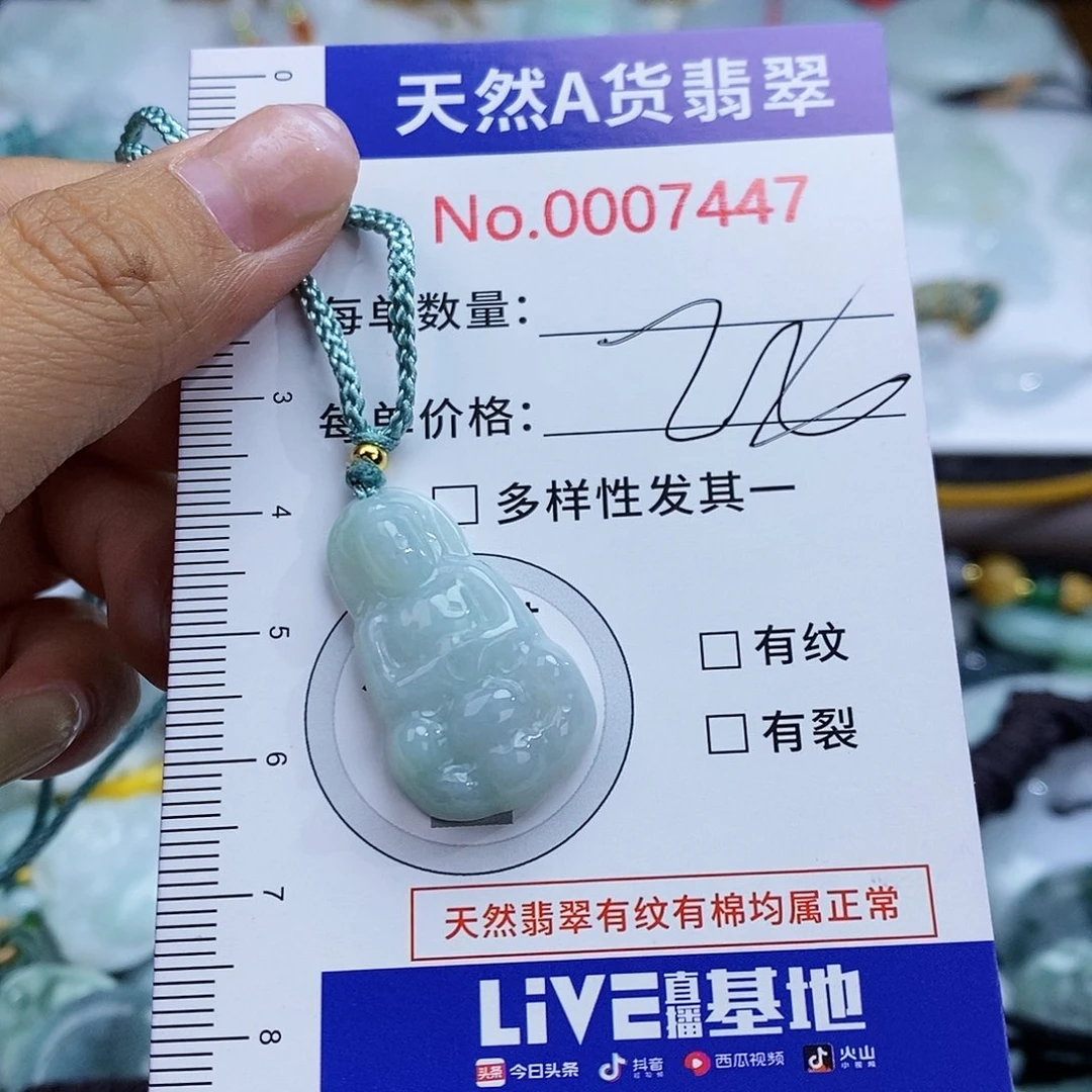 翡翠未镶嵌颈饰744