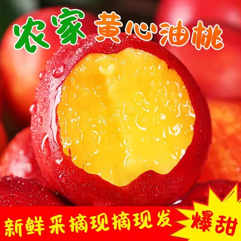 【2025当季新果】现摘黄心油桃脆甜新鲜黄肉蜜桃头茬大桃子果园直发