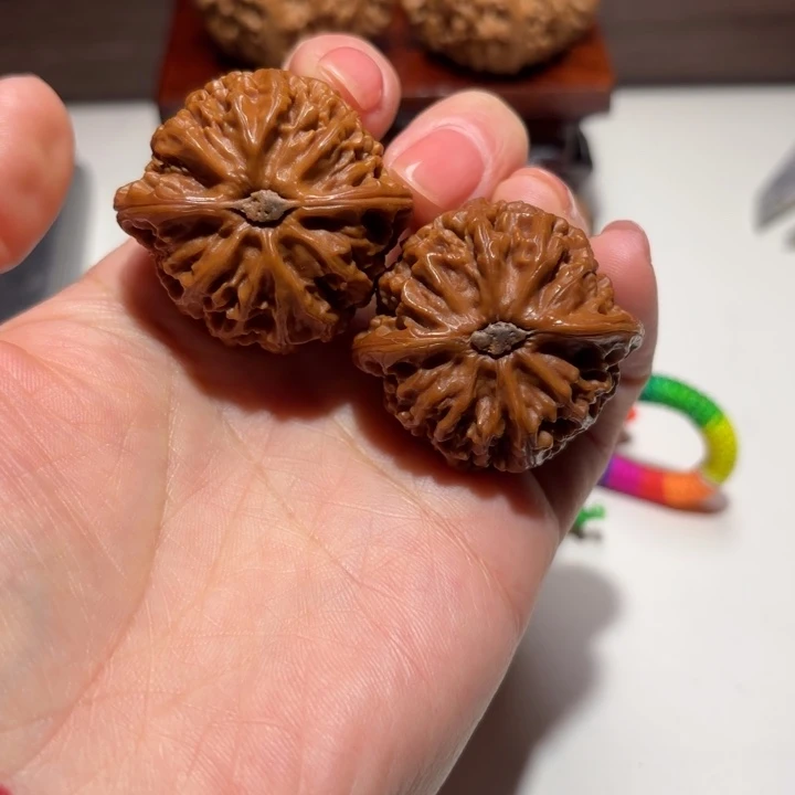 核桃37尺寸甜心宫灯