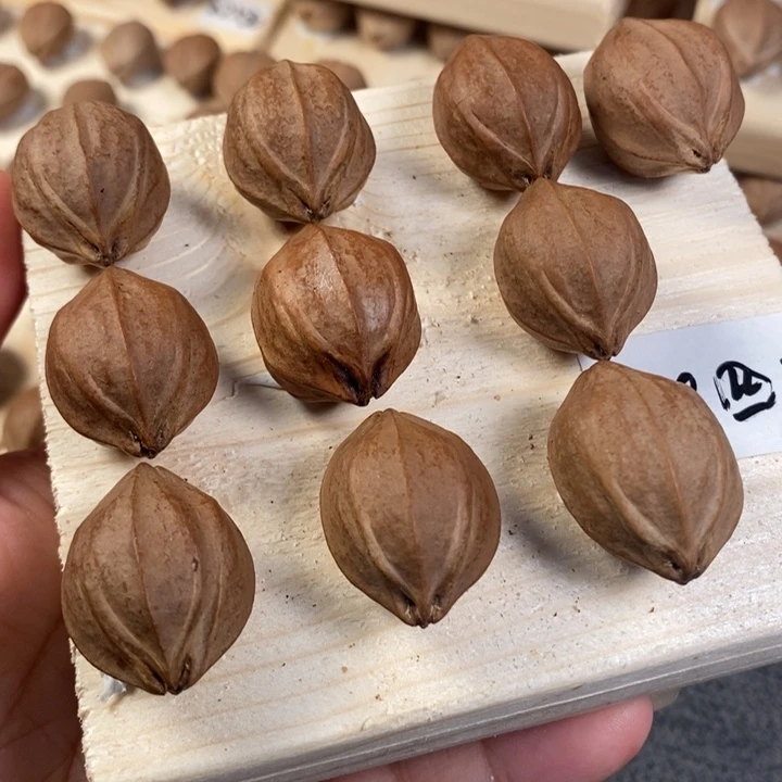 嗨***嗨手串/手链橄榄核2.0正四花一物一发不退不换