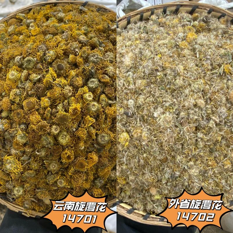 旋覆花金沸草 头茬新鲜花 散装100g起购 另有金银花