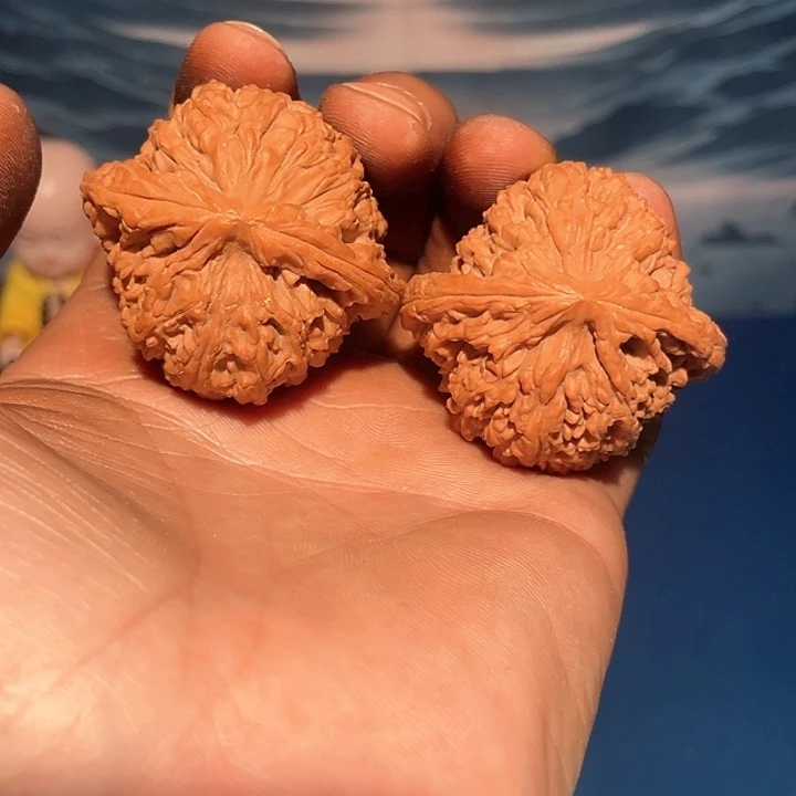 手串/手链核桃南疆石42尺