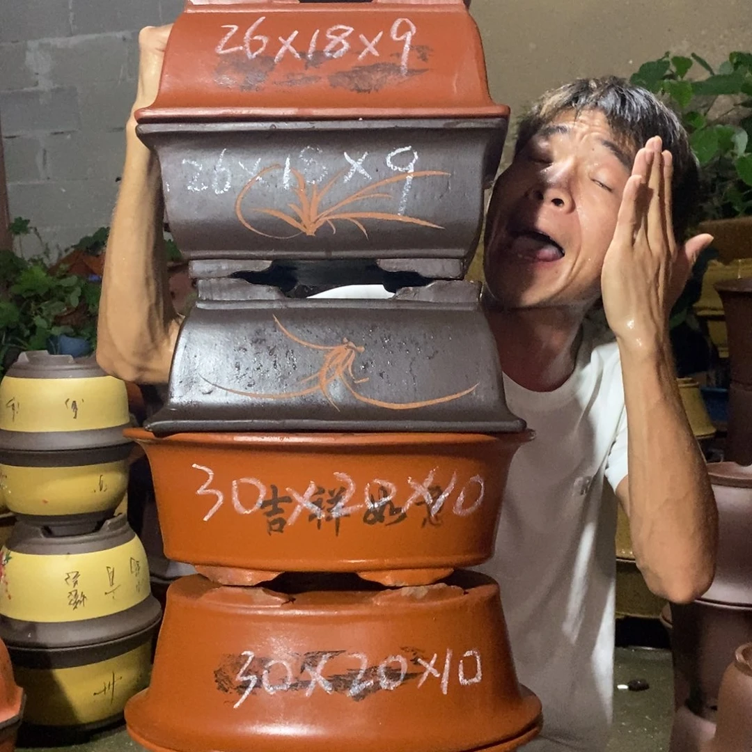 紫砂花盆紫砂紫砂紫砂紫砂