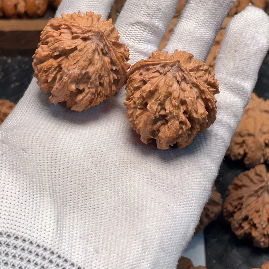 桃核吊坠36 秦岭灯笼野生小众