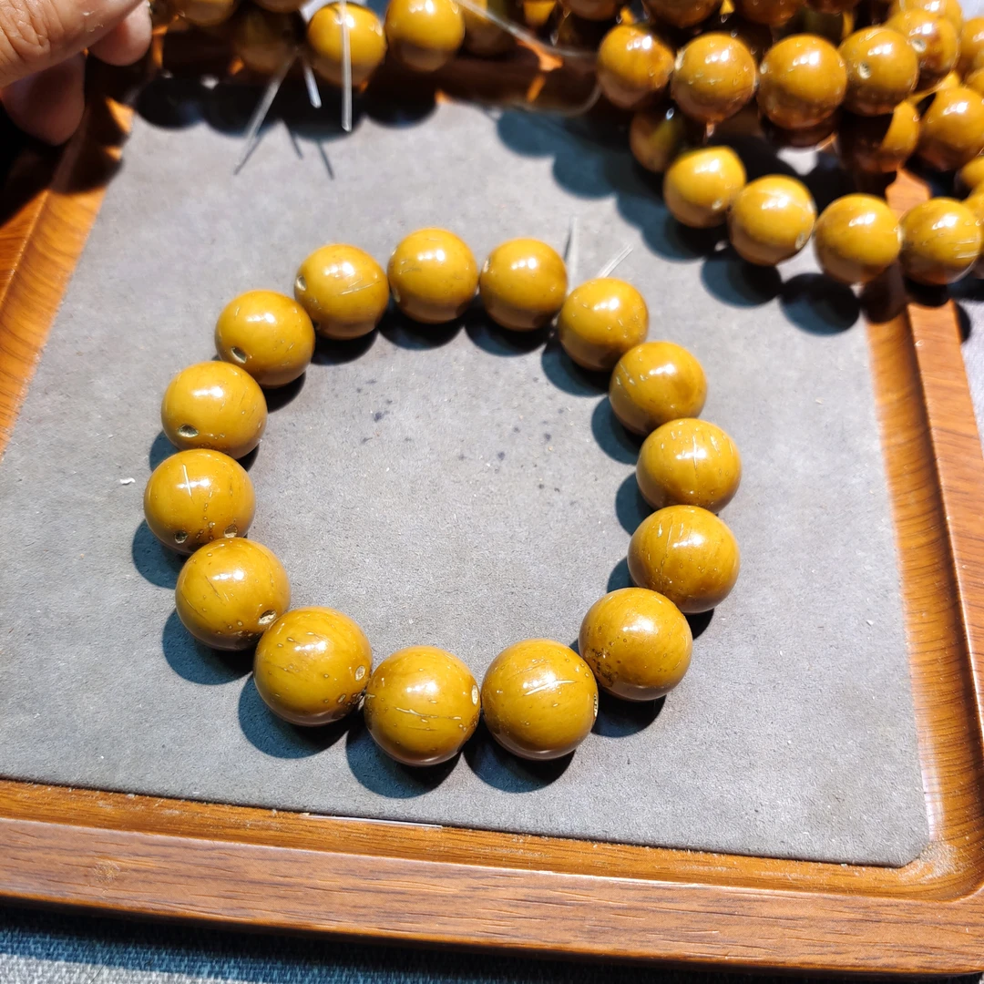 印尼黄金甲招财紫金鼠普通，生长周期长密度高，图片参考以实物为准