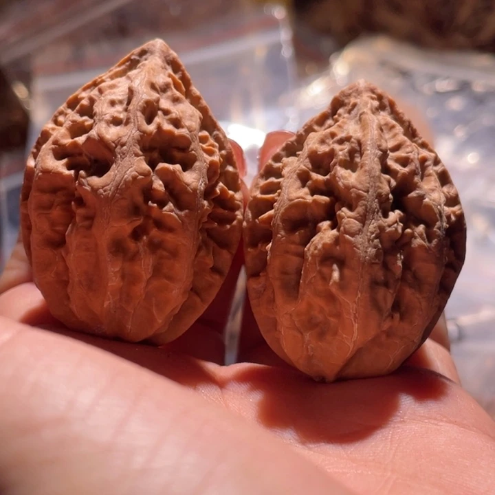 吊坠桃核九哥楸核49