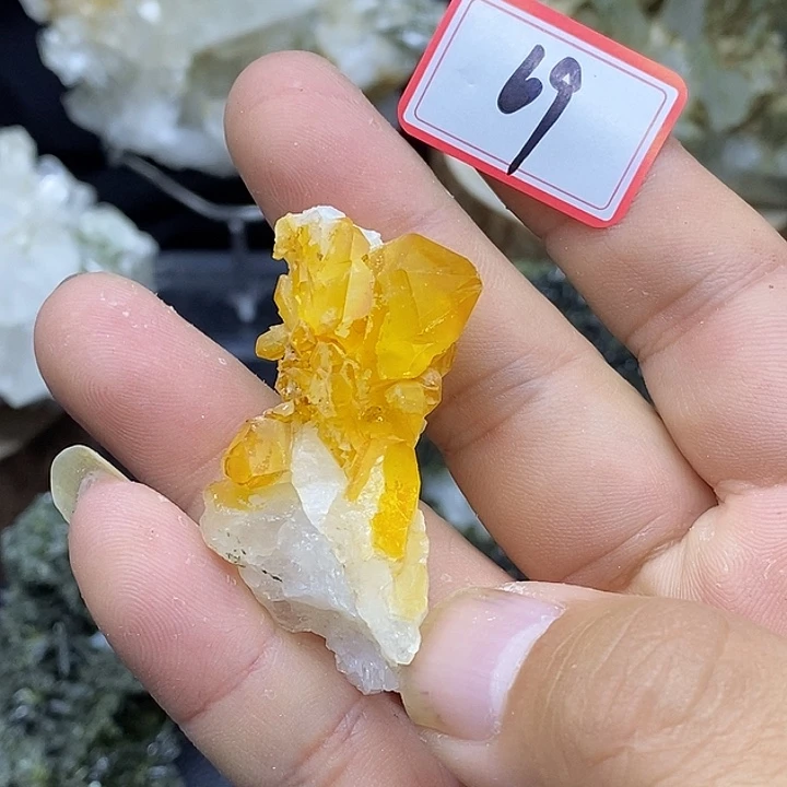 有机玻璃巴基斯坦黄金喜马69