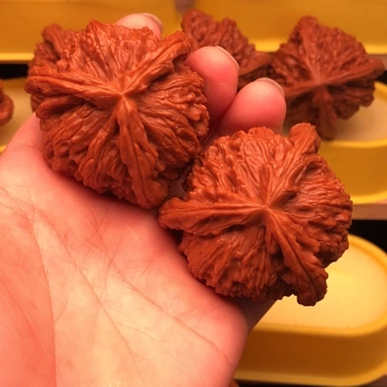 睡***海核桃核桃核桃核桃核桃
