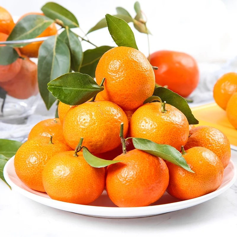 广西砂糖橘4.5斤装