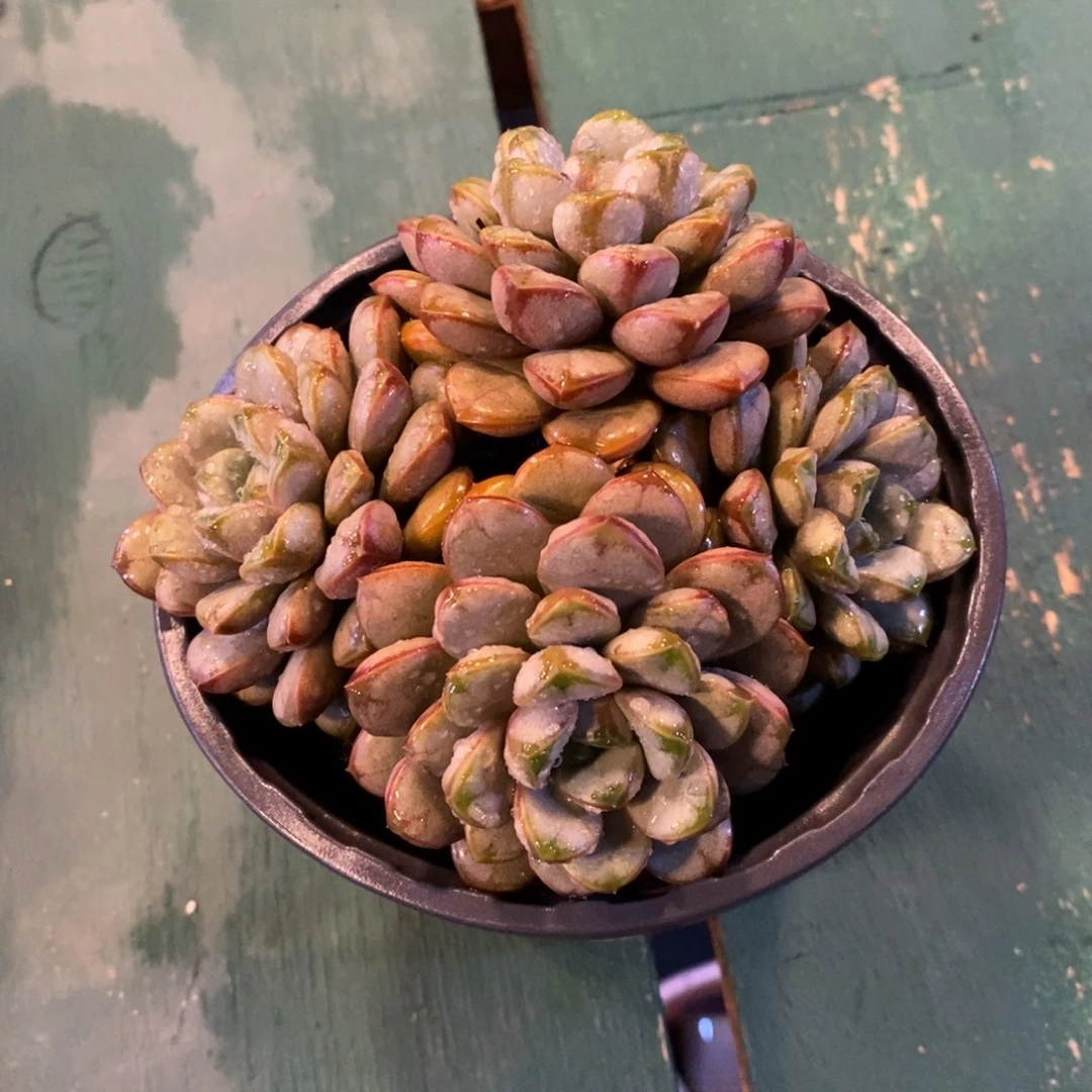文***哒可以吗你说你不知道吗