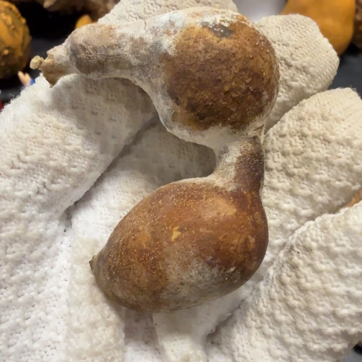 大***贵667777778888999999