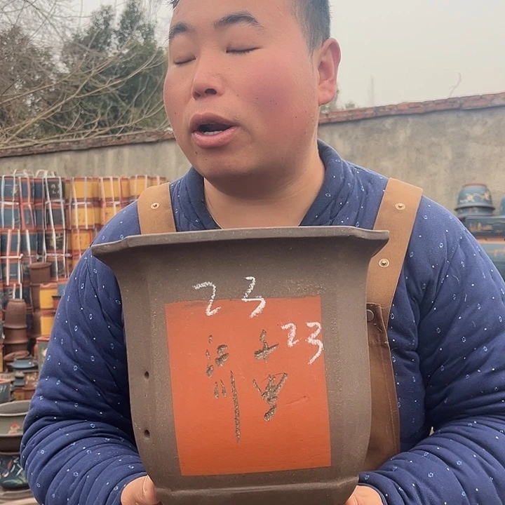 紫砂紫砂花盆盆栽