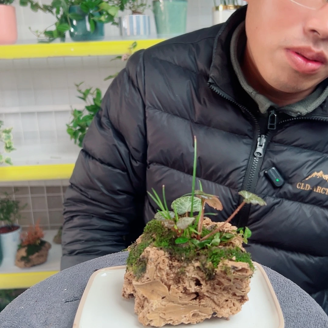 笑***兮无花朵32