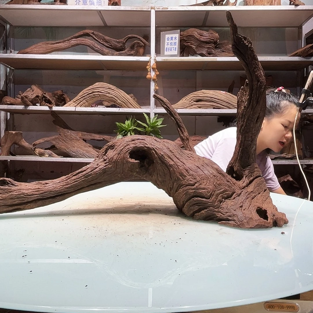 海***洋紫砂紫柚沉木不包损不包秒沉介意慎拍9908