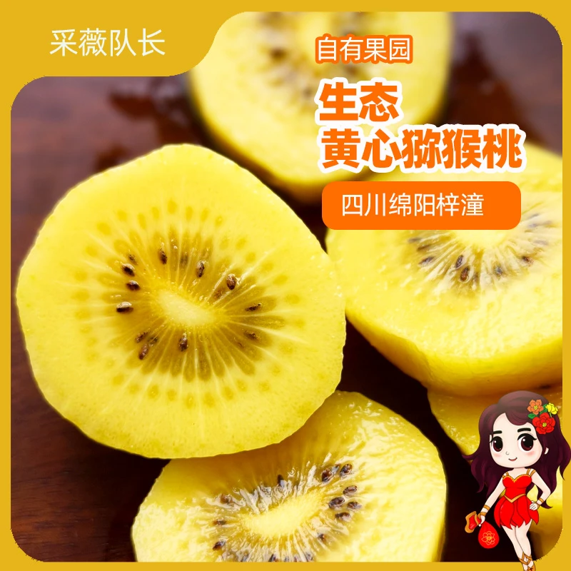 优选生态黄心猕猴桃自有果园基地直发2025秋应季水果酸甜奇异果