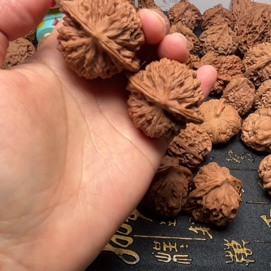 40尺盘龙文无修全品