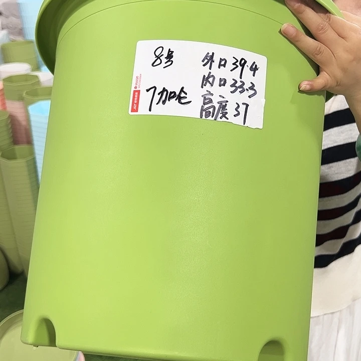 特价8号四季口39高37白色3只无托