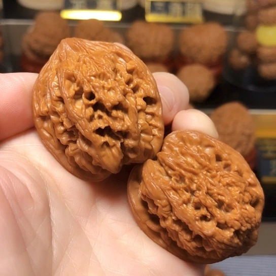 自然桩型九龙筋全品