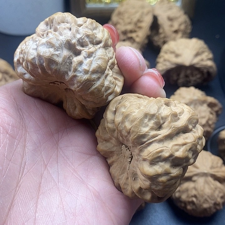 龙脊菩提吊坠蛙王46