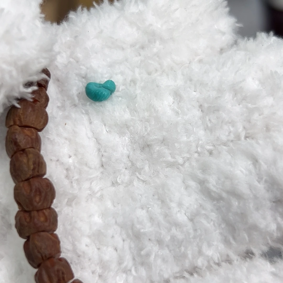 吊坠柏香籽/百香籽