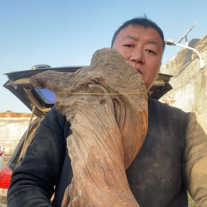 石***缘柏木啊啊啊啊啊啊啊啊