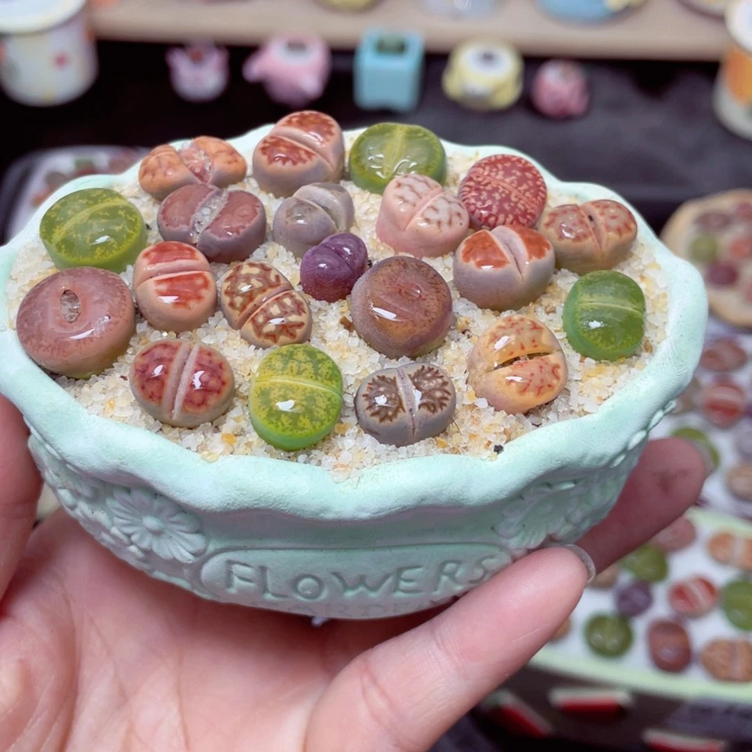 w1684 带盆土发货-零下地区拍保温箱