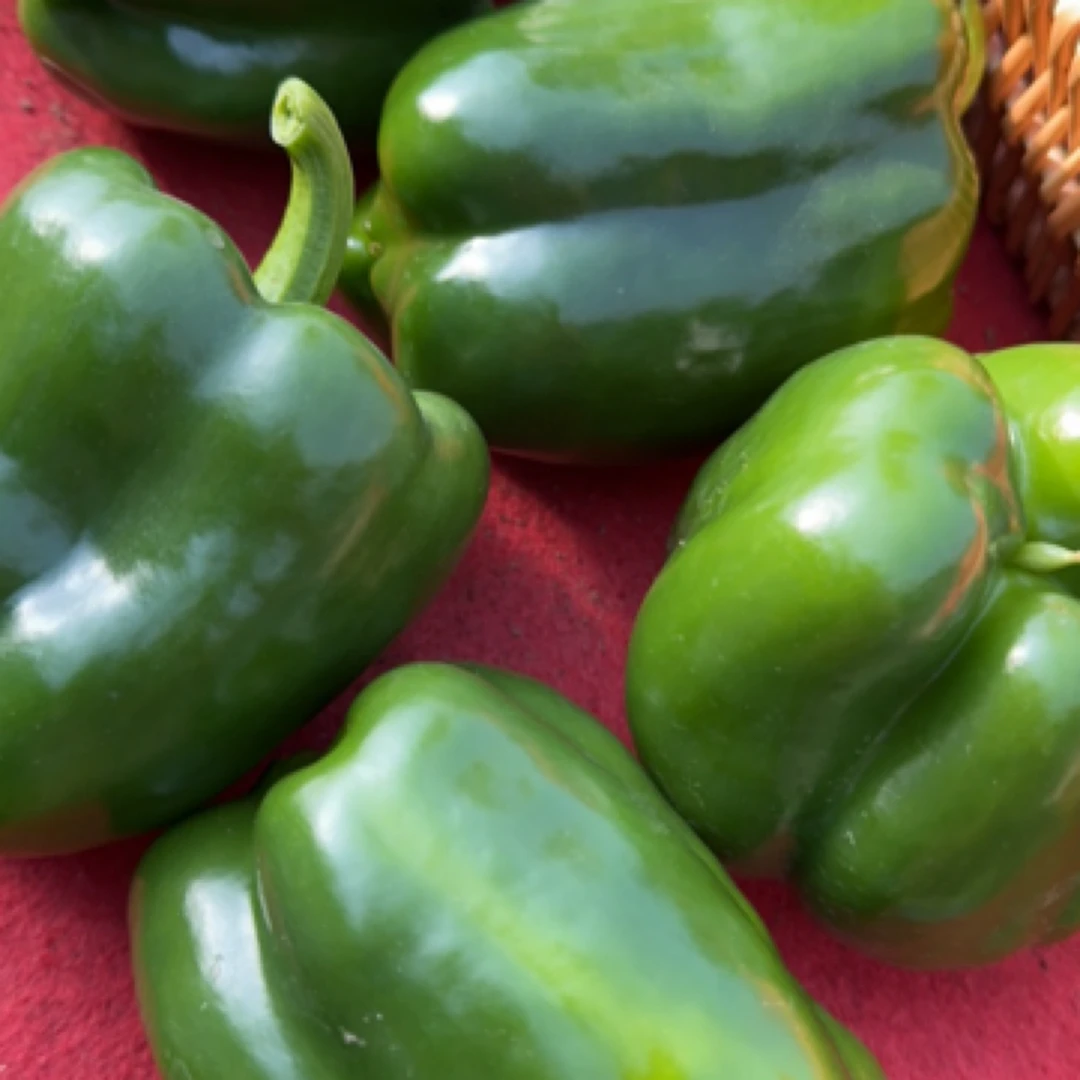 密云农家自产新鲜蔬菜柿子椒350g辣椒