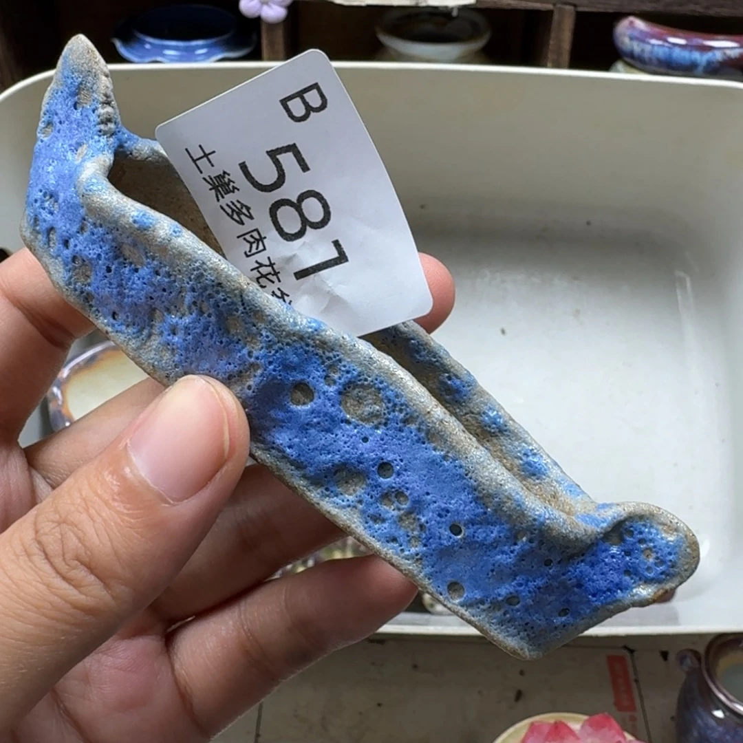 a****陶瓷艺术设计学与制作