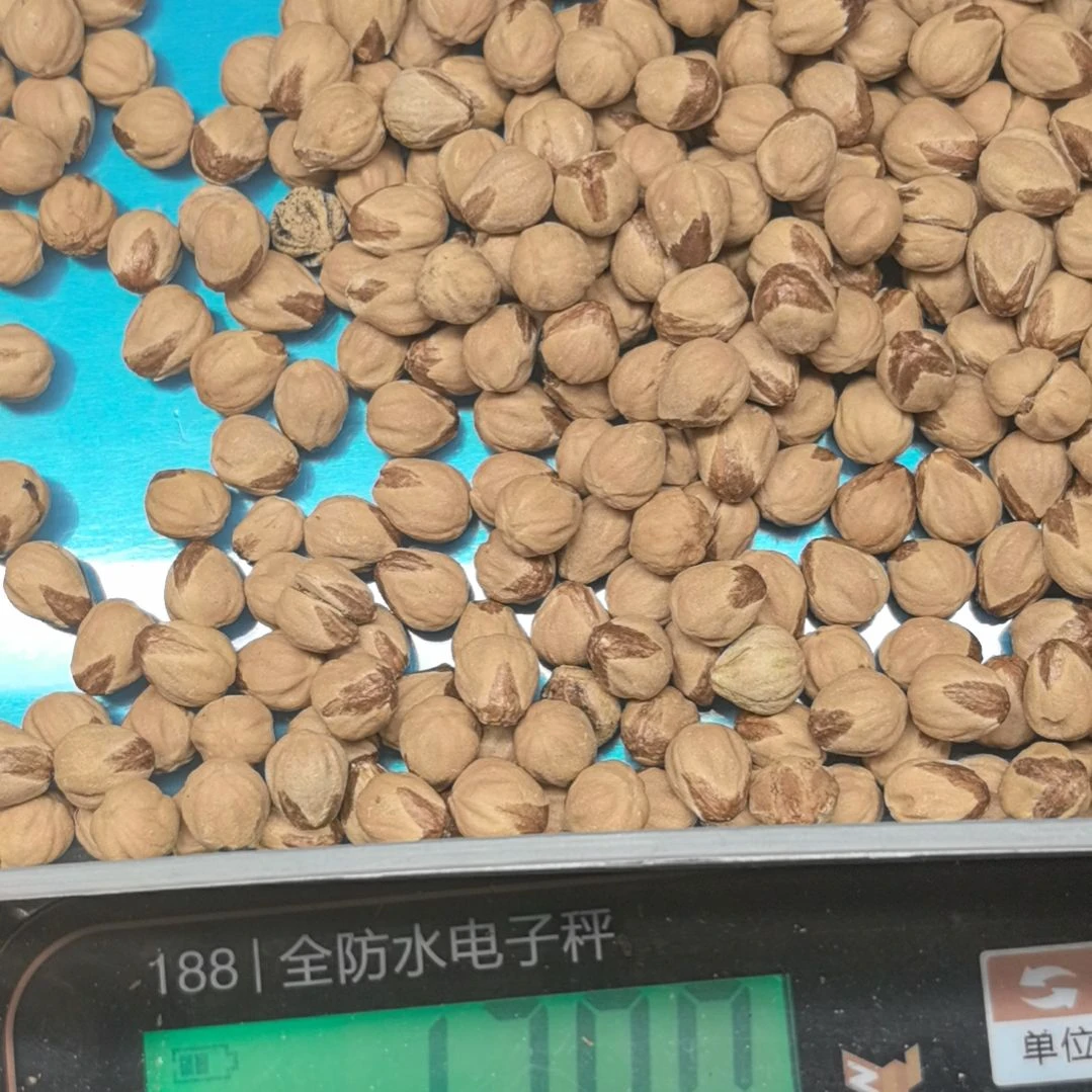 乡***哥柏香籽/百香籽手串