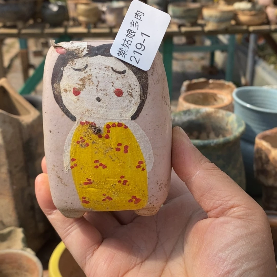 红陶1号多肉盆一个呀