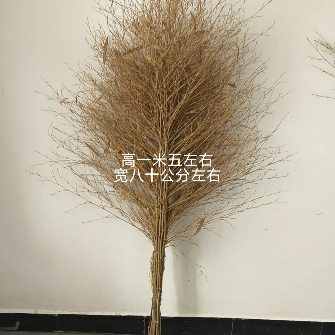 连体竹扫把户外马路养殖场