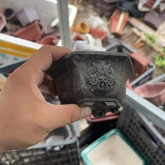 这就是为什么不可以说呢还是因为这个