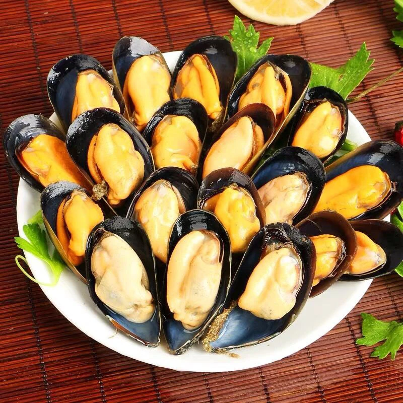 【顺丰包邮】日照本地海虹整箱净重5斤发货 包鲜不包活（微开口正常）