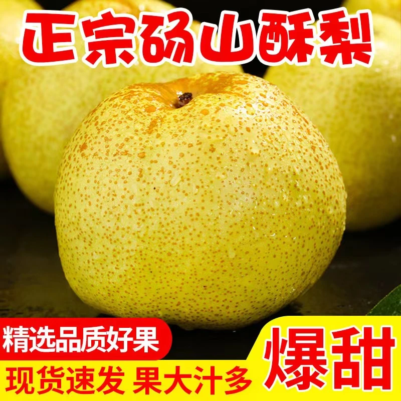 安徽特产正宗砀山酥梨新鲜现摘皮薄多汁当季水果产地直发脆甜可口